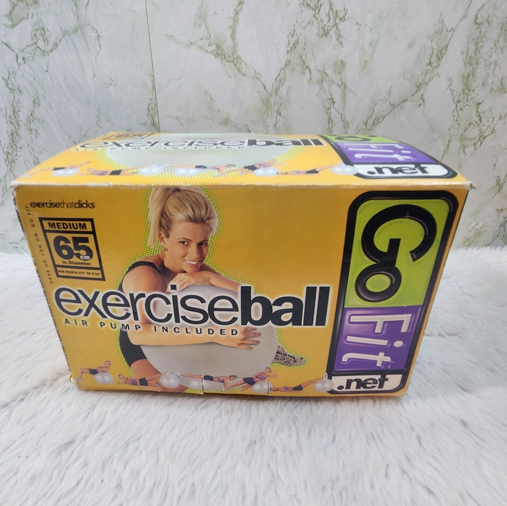 Go Fit Medium Exercise Ball and Pump